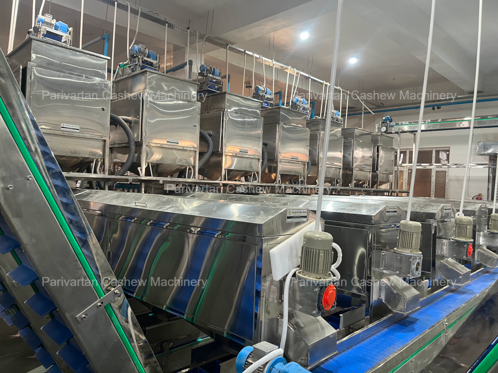 Improving Product Quality with Better Cashew Nut Processing Techniques