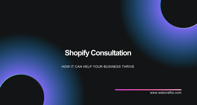 Shopify Consulation