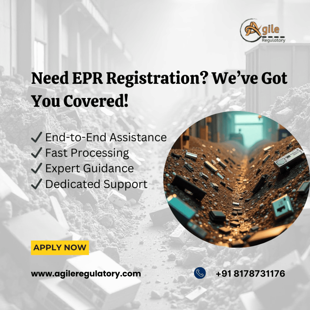 EPR Certificate in Toy Industry