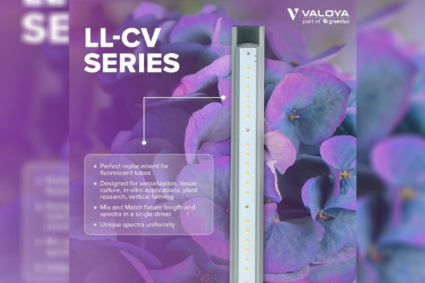Valoya LL-CV Series