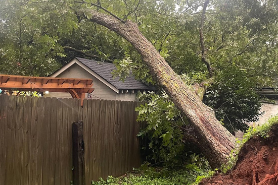 Emergency tree removal