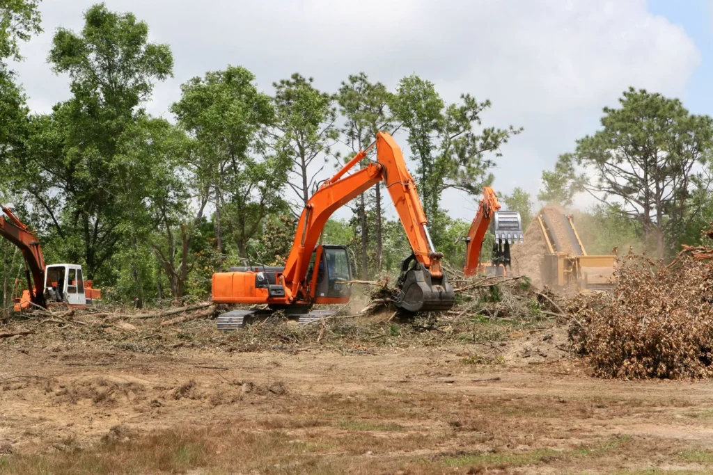 Lot Clearing Service