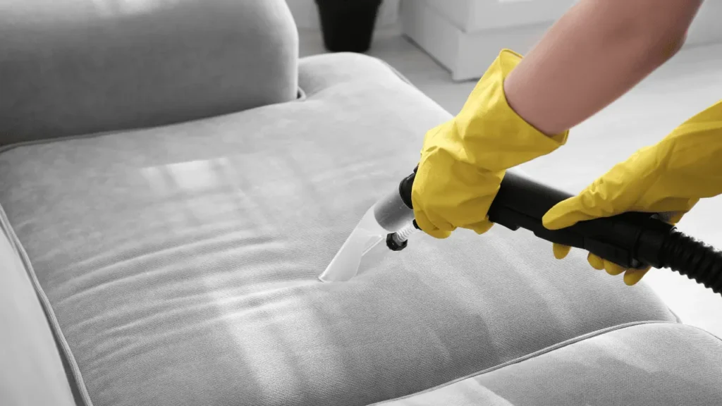 nyc steamers couch cleaning