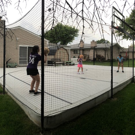 Sports Barrier Nets