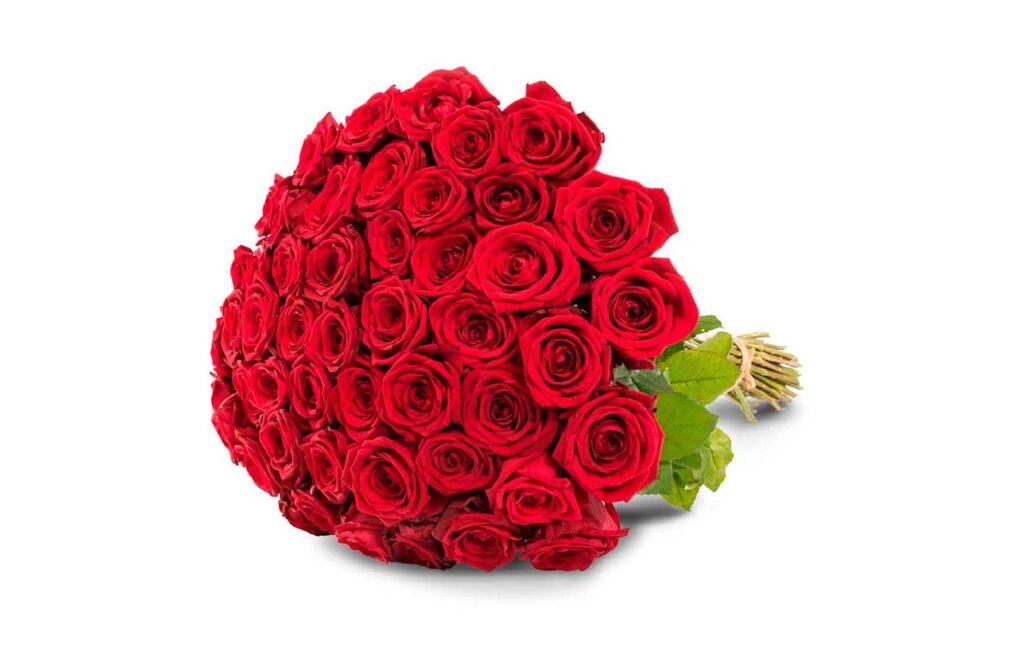 p-50-red-roses-351556-mp-50-red-roses-351556-mp-50-red-roses-351556-m