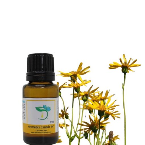 Arnica Herbal Oil