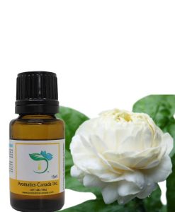 Jasmine Sambac Absolute Oil